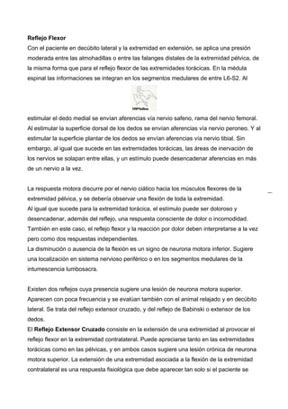 Reflejo Flexor
Con el paciente en decúbito lateral y la extremidad en extensión, se aplica una presión
moderada entre las almohadillas o entre las falanges distales de la extremidad pélvica, de
la misma forma que para el reflejo flexor de las extremidades torácicas. En la médula
espinal las informaciones se integran en los segmentos medulares de entre L6-S2. Al




estimular el dedo medial se envían aferencias vía nervio safeno, rama del nervio femoral.
Al estimular la superficie dorsal de los dedos se envían aferencias vía nervio peroneo. Y al
estimular la superficie plantar de los dedos se envían aferencias vía nervio tibial. Sin
embargo, al igual que sucede en las extremidades torácicas, las áreas de inervación de
los nervios se solapan entre ellas, y un estímulo puede desencadenar aferencias en más
de un nervio a la vez.


La respuesta motora discurre por el nervio ciático hacia los músculos flexores de la
extremidad pélvica, y se debería observar una flexión de toda la extremidad.
Al igual que sucede para la extremidad torácica, el estímulo puede ser doloroso y
desencadenar, además del reflejo, una respuesta consciente de dolor o incomodidad.
También en este caso, el reflejo flexor y la reacción por dolor deben interpretarse a la vez
pero como dos respuestas independientes.
La disminución o ausencia de la flexión es un signo de neurona motora inferior. Sugiere
una localización en sistema nervioso periférico o en los segmentos medulares de la
intumescencia lumbosacra.


Existen dos reflejos cuya presencia sugiere una lesión de neurona motora superior.
Aparecen con poca frecuencia y se evalúan también con el animal relajado y en decúbito
lateral. Se trata del reflejo extensor cruzado, y del reflejo de Babinski o extensor de los
dedos.
El Reflejo Extensor Cruzado consiste en la extensión de una extremidad al provocar el
reflejo flexor en la extremidad contralateral. Puede apreciarse tanto en las extremidades
torácicas como en las pélvicas, y en ambos casos sugiere una lesión crónica de neurona
motora superior. La extensión de una extremidad asociada a la flexión de la extremidad
contralateral es una respuesta fisiológica que debe aparecer tan solo si el paciente se
 