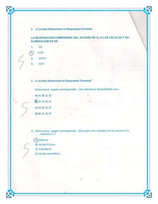 Examen del Segundo Parcial | DOCX