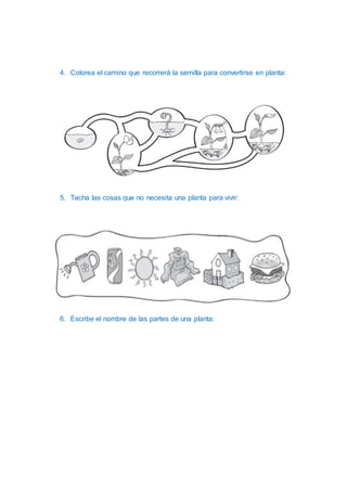 examen-adaptado-docx