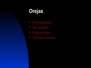 Orejas
   Puntiagudas
   De soplillo
   Pequeñitas
   Termino medio
 