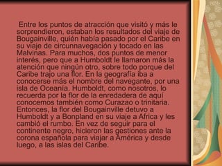 Entre los puntos de atracción que visitó y más le
sorprendieron, estaban los resultados del viaje de
Bougainville, quién había pasado por el Caribe en
su viaje de circunnavegación y tocado en las
Malvinas. Para muchos, dos puntos de menor
interés, pero que a Humboldt le llamaron más la
atención que ningún otro, sobre todo porque del
Caribe trajo una flor. En la geografía iba a
conocerse más el nombre del navegante, por una
isla de Oceanía. Humboldt, como nosotros, lo
recuerda por la flor de la enredadera de aquí
conocemos también como Curazao o trinitaria.
Entonces, la flor del Bougainville detuvo a
Humboldt y a Bonpland en su viaje a Africa y les
cambió el rumbo. En vez de seguir para el
continente negro, hicieron las gestiones ante la
corona española para viajar a América y desde
luego, a las islas del Caribe.
 