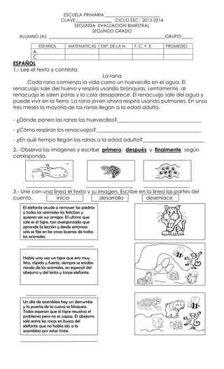 ESCUELA PRIMARIA _________________________
CLAVE:________________ CICLO ESC.: 2013-2014
SEGUNDA EVALUACION BIMESTRAL
SEGUNDO GRADO
ALUMNO (A): _____________________________________________________GRUPO:_____
ESPAÑOL

MATEMATICAS

EXP. DE LA N.

F. C. Y E.

PROMEDIO

A.
C.

ESPAÑOL
1.- Lee el texto y contesta.
La rana
Cada rana comienza la vida como un huevecillo en el agua. El
renacuajo sale del huevo y respira usando branquias. Lentamente, al
renacuajo le salen patas y la cola desaparece. El renacuajo sale del agua y
puede vivir en la tierra. La rana joven ahora respira usando pulmones. En unos
tres meses la mayoría de las ranas llegan a la edad adulta.
- ¿Dónde ponen las ranas los huevecillos?_________________________________
- ¿Cómo respiran los renacuajos?_________________________________________
- ¿En qué tiempo llegan las ranas a la edad adulta?________________________
2.- Observa las imágenes y escribe primero, después y finalmente según
corresponda.

__________________
__________________
__________________
3.- Une con una línea el texto y su imagen. Escribe en la línea las partes del
cuento.
inicio
desarrollo
desenlace
El elefante acude a remover las piedras
y todos los animales los felicitan y
quieren ser sus amigos. El ultimo que
sale es el tigre, tan avergonzado que
aprende la lección y desde entonces
solo se fija en las cosas buenas de todos
los animales.

__________________________
Había una vez un tigre que era muy
listo, rápido y fuerte, siempre se estaba
riendo de los animales, en especial del
abejorro y del lento y torpe elefante.

________________________________
Un día de asamblea hay un derrumbe
y la puerta de la cueva se bloquea.
Todos esperan que el tigre resuelva el
problema pero no es capaz. El abejorro
sale entre las rocas en busca del
elefante que no había ido a la
asamblea por estar triste.

 