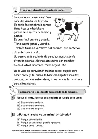 ELABORADO POR LIC. MIRKO A. VILCA BENANCIO – DOCENTE FORTALEZA DE LA UGEL PACHITEA- REGIÓN HUÁNUCO 2016
Correo electrónico: mirkoantonio27@hotmail.com; Facebook: Mirko Vilca; Fono: #969968940
La vaca es un animal mamífero,
nace del vientre de la madre.
Es también vertebrado porque
tiene huesos y herbívoro
porque se alimenta de hierba y
pastos.
Es un animal grande y pesado.
Tiene cuatro patas y un rabo.
También tiene en la cabeza dos cuernos que conserva
durante toda su vida.
Su cuerpo está cubierto de pelo, que puede ser de
diversos colores. Algunas son negras con manchas
blancas, otras marrones, otras negras, etc.
De la vaca se aprovechan muchas cosas: su piel para
hacer cuero y del cuero se fabrican zapatos, maletas,
casacas, correas entre otros, su carne y su leche sirven
para alimentarnos.
7. Según el texto, ¿de qué está cubierto el cuerpo de la vaca?
a. Está cubierto de lana.
b. Está cubierto de cuero.
c. Está cubierto de pelo.
8. ¿Por qué la vaca es un animal vertebrado?
a. Porque come hierba.
b. Porque es un animal grande y pesado.
c. Porque tiene huesos.
Lee con atención el siguiente texto:
Ahora marca la respuesta correcta de cada pregunta.
 