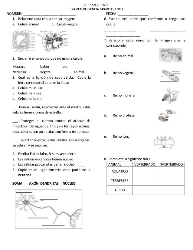 preguntas basicas de geografia colombiana examen ciencias c 232 lulas reinos seres vivos quinto preguntas basicas de geografia colombiana examen ciencias c 232 lulas reinos seres vivos quinto