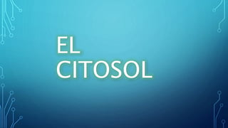 EL
CITOSOL
 