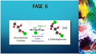 FASE 6
1
7
 