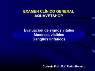 EXAMEN CLÍNICO GENERAL
AQUAVETSHOP
Cortesía Prof. M.V. Pedro Romero
Evaluación de signos vitales
Mucosas visibles
Ganglios linfáticos
 