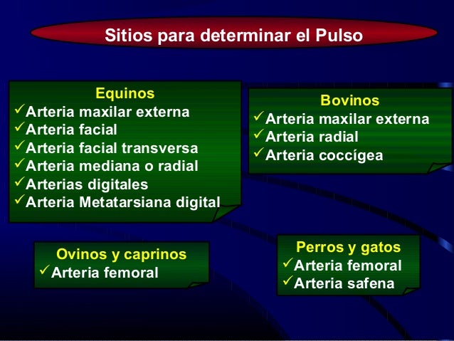 Valores normales del Pulso
Especie animal Rango
(pulsaciones/min)
Equinos 28 – 40
Bovinos 36 – 80
Ovinos y caprinos 70 – 8...