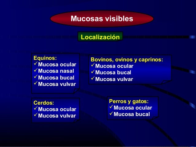 Perfusión capilar
Técnicas de exploración de mucosas visibles
 