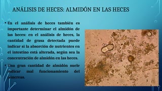 ANÁLISIS DE HECES: ALMIDÓN EN LAS HECES
• En el análisis de heces también es
importante determinar el almidón de
las heces: en el análisis de heces, la
cantidad de grasa detectada puede
indicar si la absorción de nutrientes en
el intestino está alterada, según sea la
concentración de almidón en las heces.
• Una gran cantidad de almidón suele
indicar mal funcionamiento del
páncreas.
 