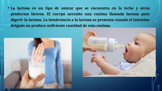 • La lactosa es un tipo de azúcar que se encuentra en la leche y otros
productos lácteos. El cuerpo necesita una enzima llamada lactasa para
digerir la lactosa. La intolerancia a la lactosa se presenta cuando el intestino
delgado no produce suficiente cantidad de esta enzima.
 