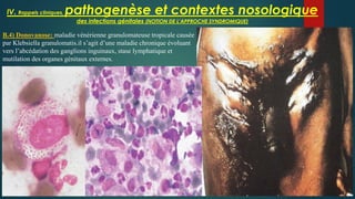 IV. Rappels cliniques, pathogenèse et contextes nosologique
des infections génitales (NOTION DE L’APPROCHE SYNDROMIQUE)
B....