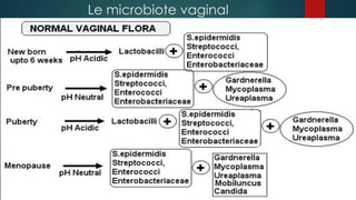 examencytbacteriologiquedesprelevementsgenitauxetdesinfectionssexuellem ...