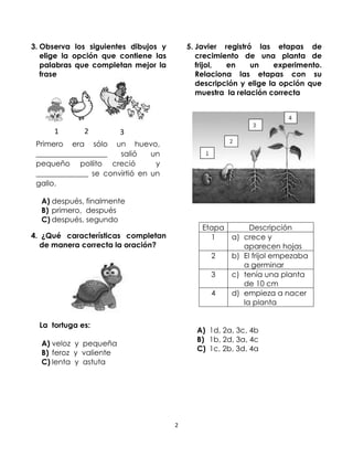 3. Observa los siguientes dibujos y
elige la opción que contiene las
palabras que completan mejor la
frase

1

2

5. Javier registró las etapas de
crecimiento de una planta de
frijol,
en
un
experimento.
Relaciona las etapas con su
descripción y elige la opción que
muestra la relación correcta

3

Primero era sólo un huevo,
___________________
salió
un
pequeño pollito creció
y
______________ se convirtió en un
gallo.
A) después, finalmente
B) primero, después
C) después, segundo

Etapa
1

b)

3

c)

4

La tortuga es:

a)

2

4. ¿Qué características completan
de manera correcta la oración?

d)

Descripción
crece y
aparecen hojas
El frijol empezaba
a germinar
tenía una planta
de 10 cm
empieza a nacer
la planta

A) 1d, 2a, 3c, 4b
B) 1b, 2d, 3a, 4c
C) 1c, 2b, 3d, 4a

A) veloz y pequeña
B) feroz y valiente
C) lenta y astuta

2

 