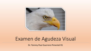 Examen de Agudeza Visual
Dr. Tommy Paul Guerrero Pimentel R1
 