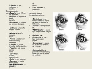 Examen de Cabeza y Cuello semiologia .pptx