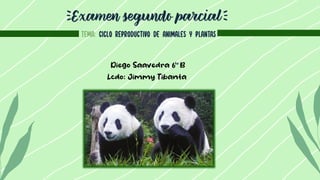 Examen segundo parcial
Tema: Ciclo reproductivo de animales y plantas
 