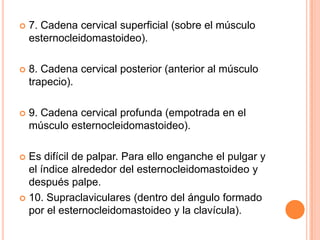 

7. Cadena cervical superficial (sobre el músculo
esternocleidomastoideo).



8. Cadena cervical posterior (anterior al músculo
trapecio).



9. Cadena cervical profunda (empotrada en el
músculo esternocleidomastoideo).

Es difícil de palpar. Para ello enganche el pulgar y
el índice alrededor del esternocleidomastoideo y
después palpe.
 10. Supraclaviculares (dentro del ángulo formado
por el esternocleidomastoideo y la clavícula).


 