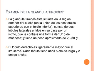 EXAMEN DE LA GLÁNDULA TIROIDES:


La glándula tiroides está situada en la región
anterior del cuello (en la unión de los dos tercios
superiores con el tercio inferior); consta de dos
lóbulos laterales unidos en su base por un
istmo, que le confiere una forma de “U” o de
mariposa; y tiene un peso aproximado de 20-30 g .



El lóbulo derecho es ligeramente mayor que el
izquierdo. Cada lóbulo tiene unos 5 cm de largo y 2
cm de ancho.

 