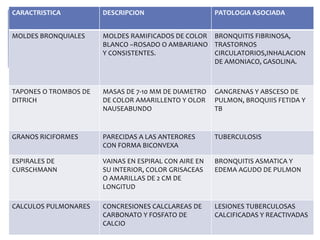 CARACTRISTICA DESCRIPCION PATOLOGIA ASOCIADA
MOLDES BRONQUIALES MOLDES RAMIFICADOS DE COLOR
BLANCO –ROSADO O AMBARIANO
Y CONSISTENTES.
BRONQUITIS FIBRINOSA,
TRASTORNOS
CIRCULATORIOS,INHALACION
DE AMONIACO, GASOLINA.
TAPONES O TROMBOS DE
DITRICH
MASAS DE 7-10 MM DE DIAMETRO
DE COLOR AMARILLENTO Y OLOR
NAUSEABUNDO
GANGRENAS Y ABSCESO DE
PULMON, BROQUIIS FETIDA Y
TB
GRANOS RICIFORMES PARECIDAS A LAS ANTERORES
CON FORMA BICONVEXA
TUBERCULOSIS
ESPIRALES DE
CURSCHMANN
VAINAS EN ESPIRAL CON AIRE EN
SU INTERIOR, COLOR GRISACEAS
O AMARILLAS DE 2 CM DE
LONGITUD
BRONQUITIS ASMATICA Y
EDEMA AGUDO DE PULMON
CALCULOS PULMONARES CONCRESIONES CALCLAREAS DE
CARBONATO Y FOSFATO DE
CALCIO
LESIONES TUBERCULOSAS
CALCIFICADAS Y REACTIVADAS
 