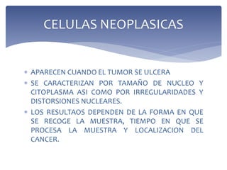 APARECEN CUANDO EL TUMOR SE ULCERA
 SE CARACTERIZAN POR TAMAÑO DE NUCLEO Y
CITOPLASMA ASI COMO POR IRREGULARIDADES Y
DISTORSIONES NUCLEARES.
 LOS RESULTAOS DEPENDEN DE LA FORMA EN QUE
SE RECOGE LA MUESTRA, TIEMPO EN QUE SE
PROCESA LA MUESTRA Y LOCALIZACION DEL
CANCER.
CELULAS NEOPLASICAS
 
