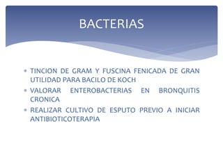  TINCION DE GRAM Y FUSCINA FENICADA DE GRAN
UTILIDAD PARA BACILO DE KOCH
 VALORAR ENTEROBACTERIAS EN BRONQUITIS
CRONICA
 REALIZAR CULTIVO DE ESPUTO PREVIO A INICIAR
ANTIBIOTICOTERAPIA
BACTERIAS
 