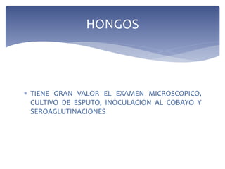  TIENE GRAN VALOR EL EXAMEN MICROSCOPICO,
CULTIVO DE ESPUTO, INOCULACION AL COBAYO Y
SEROAGLUTINACIONES
HONGOS
 