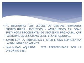  AL DESTRUIRSE LOS LEUCOCITOS LIBERAN FERMENTOS
PROTEOLITICOS, LIPOLITICOS Y AMILOLITICOS ASI COMO
SUSTANCIAS PROCEDENTES DE SECRESION BRONQUIAL QUE
PARTICIPAN EN EL SISTEMA DE DEFENSA BRONQUIAL.
 JUNTO CON LA PROPERDINA E INTERFERONA REPRESENTAN
LA INMUNIDAD CONGENITA
 INMUNIDAD AQUIRIDA ESTA REPRESENTADA POR LA
OPSONINA E IgA
 