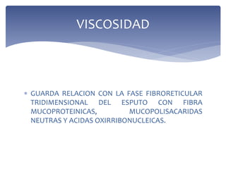  GUARDA RELACION CON LA FASE FIBRORETICULAR
TRIDIMENSIONAL DEL ESPUTO CON FIBRA
MUCOPROTEINICAS, MUCOPOLISACARIDAS
NEUTRAS Y ACIDAS OXIRRIBONUCLEICAS.
VISCOSIDAD
 