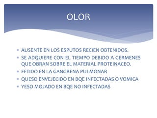  AUSENTE EN LOS ESPUTOS RECIEN OBTENIDOS.
 SE ADQUIERE CON EL TIEMPO DEBIDO A GERMENES
QUE OBRAN SOBRE EL MATERIAL PROTEINACEO.
 FETIDO EN LA GANGRENA PULMONAR
 QUESO ENVEJECIDO EN BQE INFECTADAS O VOMICA
 YESO MOJADO EN BQE NO INFECTADAS
OLOR
 