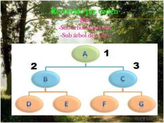 El movimiento a través de árboles, salvo que implementemos punteros al nodo padre, será siempre partiendo del nodo raíz hacia un nodo hoja. Cada vez que lleguemos a un nuevo nodo podremos optar por cualquiera de los nodos a los que apunta para avanzar al siguiente nodo.