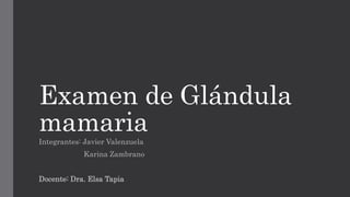 Examen de Glándula
mamaria
Integrantes: Javier Valenzuela
Karina Zambrano
Docente: Dra. Elsa Tapia
 