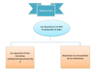AGRICULTURA




                              Les favorecía el rio Nilo
                               Al desbordar le daba




   Los siguientes frutas
        ,hortalizas                                   Abastecían las necesidades
,cebada,lechug,narana,trig                                de los habitantes
             o
 