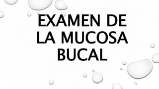 EXAMEN DE
LA MUCOSA
BUCAL
JOSE LUIS CHIRICO ULPANA
 
