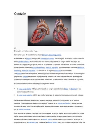 Corazón




El corazón, por Heikenwaelder Hugo.

Para otros usos de este término, véase Corazón (desambiguación).

El corazón es el órgano principal del sistema circulatorio. Es un órgano musculoso y cónico situado
en la cavidad torácica. Funciona como una bomba, impulsando la sangre a todo el cuerpo. Su
tamaño es un poco mayor que el puño de su portador. El corazón está dividido en cuatro cavidades:
dos superiores, llamadas aurícula derecha y aurícula izquierda, y dos inferiores, llamadas ventrículo
derecho y ventrículo izquierdo.1 El corazón es un órgano muscular autocontrolado,
unabomba aspirante e impelente, formado por dos bombas en paralelo que trabajan al unísono para
propulsar la sangre hacia todos los órganos del cuerpo. Las aurículas son cámaras de recepción,
que envían la sangre que reciben hacia los ventrículos, que funcionan como cámaras de expulsión.

El corazón derecho recibe sangre poco oxigenada desde:


   la vena cava inferior (VCI), que transporta la sangre procedente deltórax, el abdomen y las
    extremidades inferiores

   la vena cava superior (VCS), que recibe la sangre de las extremidades superiores y la cabeza.


La vena cava inferior y la vena cava superior vierten la sangre poco oxigenada en la aurícula
derecha. Esta la traspasa al ventrículo derecho a través de la válvula tricúspide, y desde aquí se
impulsa hacia los pulmones a través de las arterias pulmonares, separadas del ventrículo derecho
por la válvula pulmonar.

Una vez que se oxigena a su paso por los pulmones, la sangre vuelve al corazón izquierdo a través
de las venas pulmonares, entrando en la aurícula izquierda. De aquí pasa al ventrículo izquierdo,
separado de la aurícula izquierda por la válvula mitral. Desde el ventrículo izquierdo, la sangre es
propulsada hacia la arteria aorta a través de la válvula aórtica, para proporcionar oxígeno a todos los
 