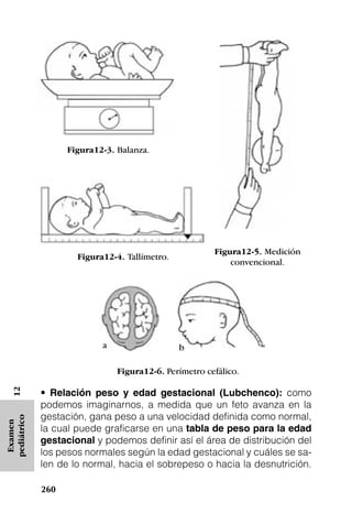 Figura12-3. Balanza.




                                                       Figura12-5. Medición
                     Figura12-4. Tallímetro.
                                                           convencional.




                           a                   b

                               Figura12-6. Perímetro cefálico.

             • Relación peso y edad gestacional (Lubchenco): como
   12




             podemos imaginarnos, a medida que un feto avanza en la
             gestación, gana peso a una velocidad definida como normal,
pediátrico
 Examen




             la cual puede graficarse en una tabla de peso para la edad
             gestacional y podemos definir así el área de distribución del
             los pesos normales según la edad gestacional y cuáles se sa-
             len de lo normal, hacia el sobrepeso o hacia la desnutrición.

             260
 