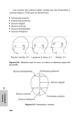 Los huesos del cráneo están unidos por las fontanelas y
             suturas (figura 12-9) que se denominan:

             •   Fontanela anterior
             •   Fontanela posterior
             •   Sutura sagital
             •   Sutura coronal
             •   Sutura lambdoidea
             •   Sutura metópica




                 Recién nacido, 8:1 Lactante 2 años, 5:1          Adulto, 2:1

             Figura12-8. Relación entre la cara y el cráneo en distintas etapas del
             desarrollo.


                   Sutura lambdoidea            Fontanela posterior



                                                            Sutura sagital
   12




                      Sutura coronal
pediátrico
 Examen




                                                        Fontanela anterior
                        Sutura metópica

                               Figura12-9. Fontanelas y suturas


             264
 