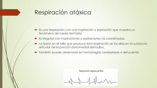 Respiración atáxica
 Es una respiración con una inspiración o espiración que muestra un
fenómeno de rueda dentada.
 Es irregular con inspiraciones y aspiraciones no coordinadas.
 La lesión en el tallo que produce esta respiración se localiza en la sustancia
reticular de la porción dorsomedial del bulbo.
 También puede observarse en hemorragias cerebelosas o del puente.
 