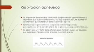 Respiración apnéusica
 La respiración apnéusica se caracteriza por periodos de apnea durante la
inspiración que pueden durar entre 2 y 3 seg, seguidos por una espiración
que también puede tener un periodo corto de apnea.
 Esta respiración generalmente se aprecia en lesiones pónticas,
principalmente en la porción lateral del tegmento, en su porción más baja.
 Se observa en un infarto de la arteria basilar; también puede ser causada
por cuadros de hipoglucemia, anoxia o meningitis graves.
 
