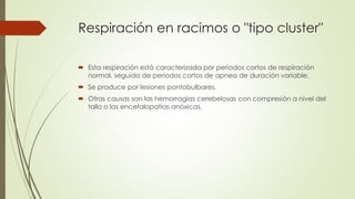 Respiración en racimos o "tipo cluster"
 Esta respiración está caracterizada por periodos cortos de respiración
normal, seguida de periodos cortos de apnea de duración variable.
 Se produce por lesiones pontobulbares.
 Otras causas son las hemorragias cerebelosas con compresión a nivel del
tallo o las encefalopatías anóxicas.
 