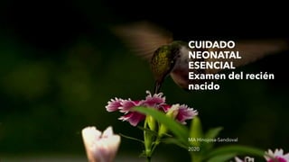 CUIDADO
NEONATAL
ESENCIAL
Examen del recién
nacido
MA Hinojosa-Sandoval
2020
 