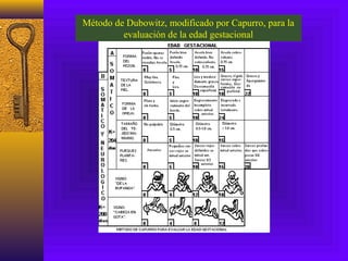 Examen del recién nacido | PPT