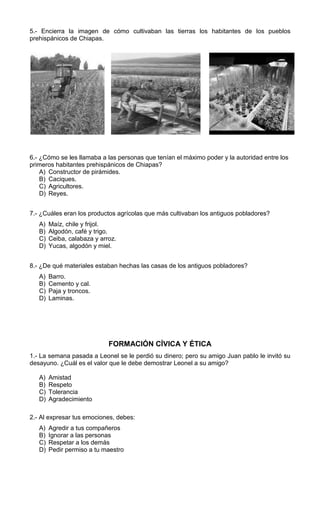 5.- Encierra la imagen de cómo cultivaban las tierras los habitantes de los pueblos
prehispánicos de Chiapas.

6.- ¿Cómo se les llamaba a las personas que tenían el máximo poder y la autoridad entre los
primeros habitantes prehispánicos de Chiapas?
A) Constructor de pirámides.
B) Caciques.
C) Agricultores.
D) Reyes.
7.- ¿Cuáles eran los productos agrícolas que más cultivaban los antiguos pobladores?
A)
B)
C)
D)

Maíz, chile y frijol.
Algodón, café y trigo.
Ceiba, calabaza y arroz.
Yucas, algodón y miel.

8.- ¿De qué materiales estaban hechas las casas de los antiguos pobladores?
A)
B)
C)
D)

Barro.
Cemento y cal.
Paja y troncos.
Laminas.

FORMACIÓN CÍVICA Y ÉTICA
1.- La semana pasada a Leonel se le perdió su dinero; pero su amigo Juan pablo le invitó su
desayuno. ¿Cuál es el valor que le debe demostrar Leonel a su amigo?
A)
B)
C)
D)

Amistad
Respeto
Tolerancia
Agradecimiento

2.- Al expresar tus emociones, debes:
A)
B)
C)
D)

Agredir a tus compañeros
Ignorar a las personas
Respetar a los demás
Pedir permiso a tu maestro

 