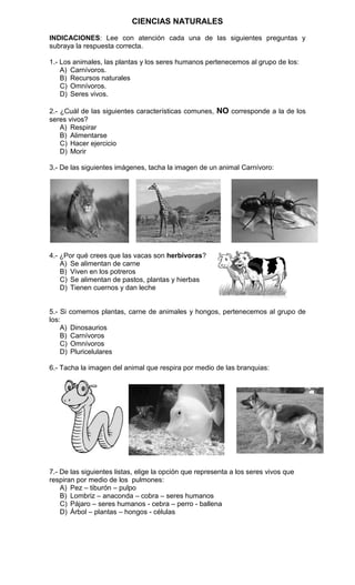 CIENCIAS NATURALES
INDICACIONES: Lee con atención cada una de las siguientes preguntas y
subraya la respuesta correcta.
1.- Los animales, las plantas y los seres humanos pertenecemos al grupo de los:
A) Carnívoros.
B) Recursos naturales
C) Omnívoros.
D) Seres vivos.
2.- ¿Cuál de las siguientes características comunes, NO corresponde a la de los
seres vivos?
A) Respirar
B) Alimentarse
C) Hacer ejercicio
D) Morir
3.- De las siguientes imágenes, tacha la imagen de un animal Carnívoro:

4.- ¿Por qué crees que las vacas son herbívoras?
A) Se alimentan de carne
B) Viven en los potreros
C) Se alimentan de pastos, plantas y hierbas
D) Tienen cuernos y dan leche

5.- Si comemos plantas, carne de animales y hongos, pertenecemos al grupo de
los:
A) Dinosaurios
B) Carnívoros
C) Omnívoros
D) Pluricelulares
6.- Tacha la imagen del animal que respira por medio de las branquias:

7.- De las siguientes listas, elige la opción que representa a los seres vivos que
respiran por medio de los pulmones:
A) Pez – tiburón – pulpo
B) Lombriz – anaconda – cobra – seres humanos
C) Pájaro – seres humanos - cebra – perro - ballena
D) Árbol – plantas – hongos - células

 