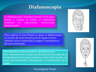 examen de nariz.pptx