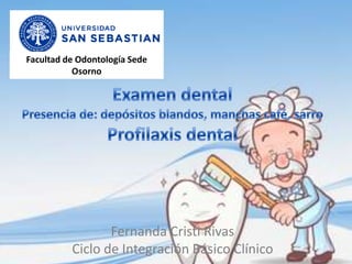 Facultad de Odontología Sede
           Osorno




                 Fernanda Cristi Rivas
          Ciclo de Integración Básico Clínico
 