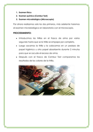 1. Examen físico
2. Examen químico (Combur Test)
3. Examen microbiológico (Microscopio)

Por ahora realizamos solo los dos primeros, más adelante haremos
el examen microbiológico en laboratorio con el microscopio.

PROCEDIMIENTO:
Introducimos las tirillas en el frasco de orina por varios
segundo hasta que se la tirilla se empape por completo.
Luego sacamos la tirilla y la colocamos en un pedazo de
papel higiénico u otro papel absorbente durante 2 minutos
para que se sacude el exceso de orina.
Después con el frasco de Combur Test comparamos los
resultados de los colores de la tirilla.

 