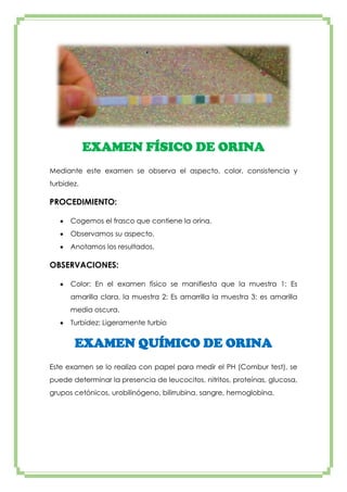 EXAMEN FÍSICO DE ORINA
Mediante este examen se observa el aspecto, color, consistencia y
turbidez.

PROCEDIMIENTO:
Cogemos el frasco que contiene la orina.
Observamos su aspecto.
Anotamos los resultados.

OBSERVACIONES:
Color: En el examen físico se manifiesta que la muestra 1: Es
amarilla clara, la muestra 2: Es amarrilla la muestra 3: es amarilla
media oscura.
Turbidez: Ligeramente turbio

EXAMEN QUÍMICO DE ORINA
Este examen se lo realiza con papel para medir el PH (Combur test), se
puede determinar la presencia de leucocitos, nitritos, proteínas, glucosa,
grupos cetónicos, urobilinógeno, bilirrubina, sangre, hemoglobina.

 
