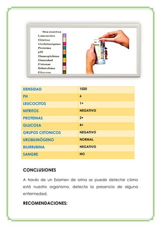 DENSIDAD

1020

PH

6

LEUCOCITOS

1+

NITRITOS

NEGATIVO

PROTEINAS

2+

GLUCOSA

4+

GRUPOS CETONICOS

NEGATIVO

UROBILINÓGENO

NORMAL

BILIRRUBINA

NEGATIVO

SANGRE

NO

CONCLUSIONES
A través de un Examen de orina se puede detectar cómo
está nuestro organismo, detecta la presencia de alguna
enfermedad.

RECOMENDACIONES:

 
