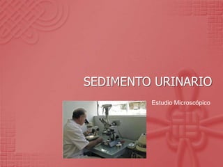 SEDIMENTO URINARIO
Estudio Microscópico
 